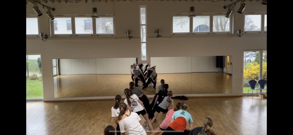 Eine Gruppe junger Leute übt in einem verspiegelten Studio eine Tanzroutine. Sie tragen legere Sportkleidung und sind mitten in der Bewegung, die sich im großen Spiegel vorne im Raum spiegelt.