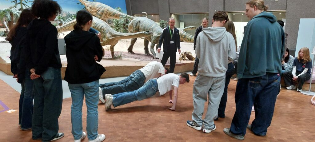 Eine Gruppe von Menschen steht um zwei Personen herum, die auf einem Holzboden Liegestütze machen. Im Hintergrund sind große Dinosauriermodelle und Schaukästen zu sehen.