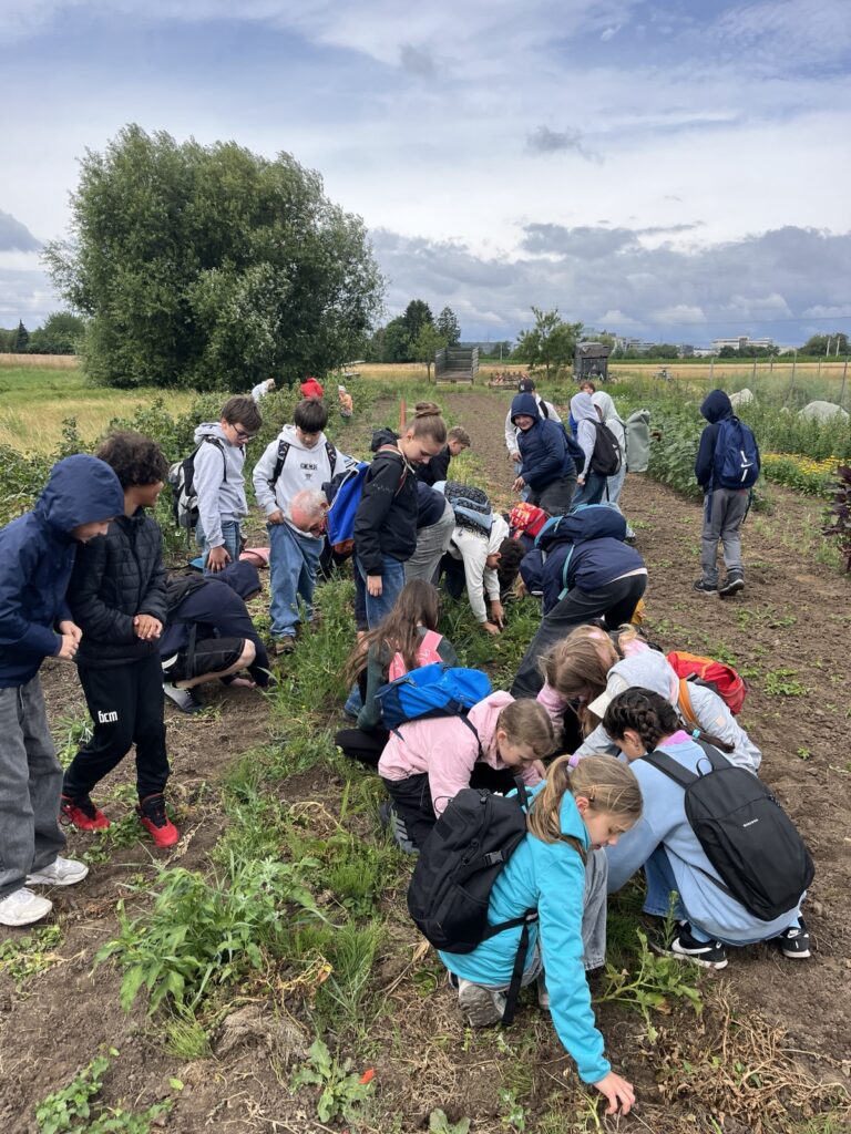 Eine Gruppe von Kindern mit Rucksäcken ist im Freien in einem Garten oder auf einem Feld versammelt und bückt sich, um unter einem teilweise bewölkten Himmel Pflanzen zu untersuchen oder zu pflücken. Im Hintergrund sind Bäume und offenes Land zu sehen.
